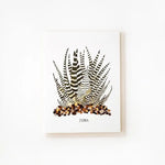 Zebra Plant Card