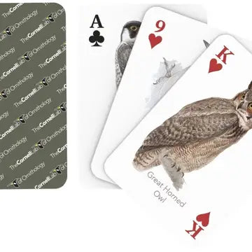 Cornell Birds Playing Cards