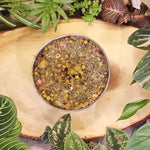 Herbal Steam Facial Blend