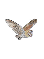 Barn Owl Patch