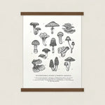 Mushrooms & Fungi Letterpress Print