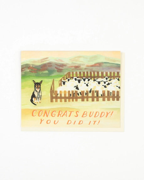 Sheep Dog Congratulations Card