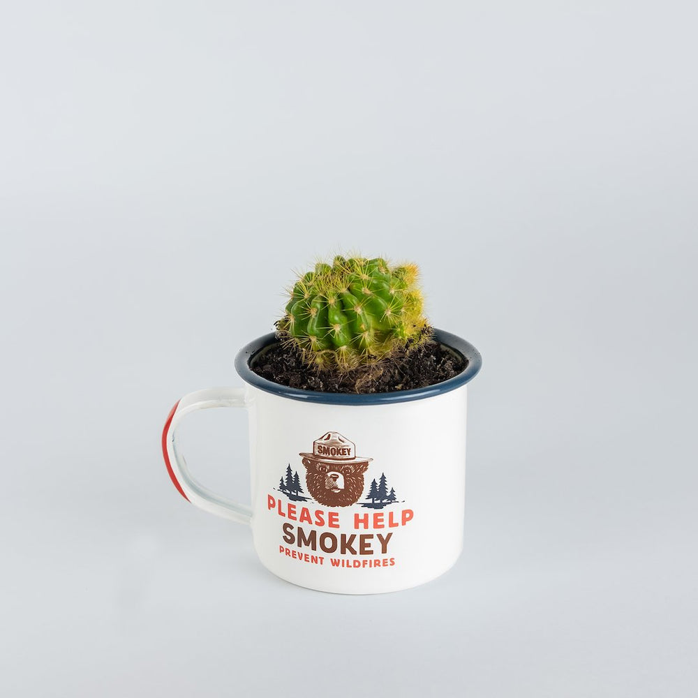 Smokey Bear Enamel Mug