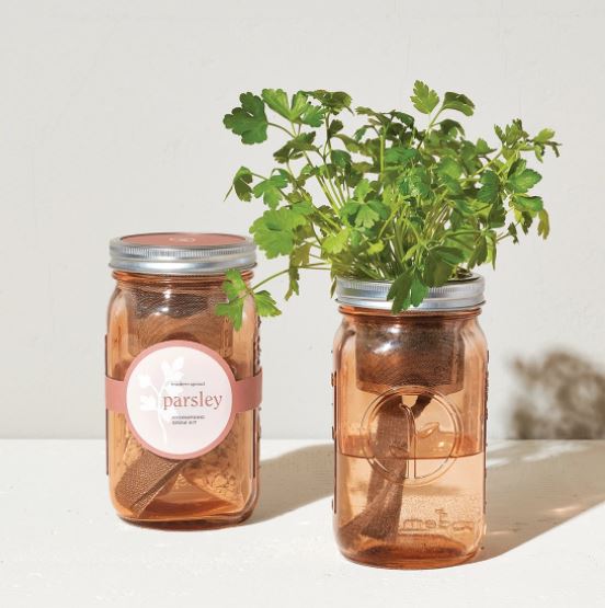 Herb Garden Jar