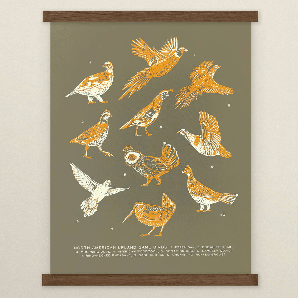 Upland Game Birds Print