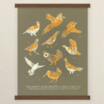 Upland Game Birds Print